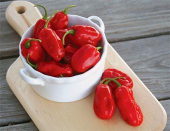 Zavory Pepper Seeds - The Pepper Pantry (Formerly Marie Sharp's)